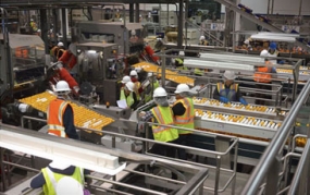 Food Production Line