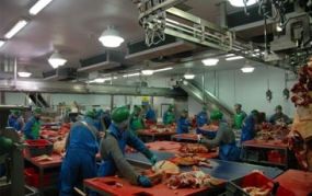 Meat Processing Line